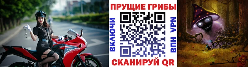кракен ONION Кольчугино Галлюциногенные грибы Psilocybe где купить наркоту